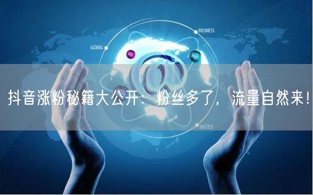抖音涨粉秘籍大公开：粉丝多了，流量自然来！