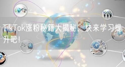 TikTok涨粉秘籍：精准运营+优质创作+互动优化